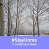 susanbryant745